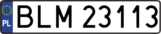 BLM23113