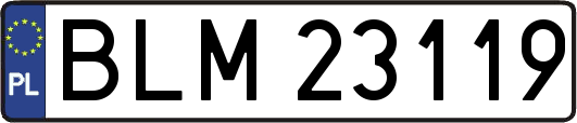 BLM23119