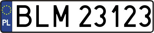 BLM23123