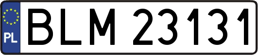 BLM23131