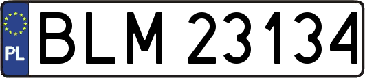 BLM23134