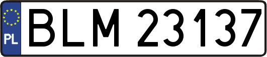 BLM23137