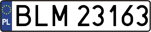 BLM23163