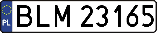BLM23165