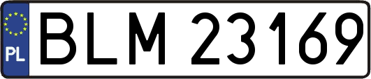 BLM23169