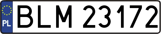 BLM23172