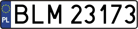 BLM23173