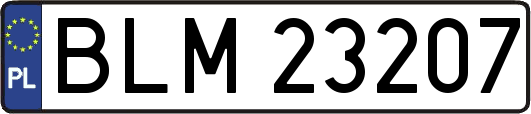 BLM23207