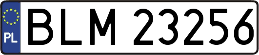 BLM23256