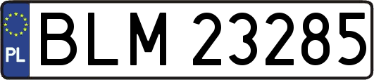 BLM23285
