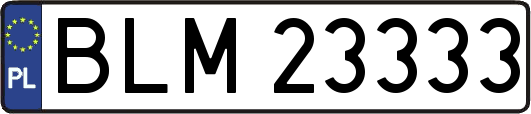 BLM23333