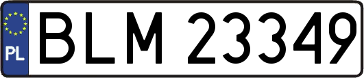 BLM23349