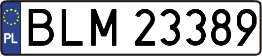 BLM23389
