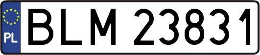 BLM23831