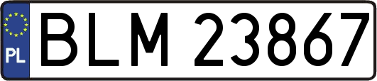 BLM23867