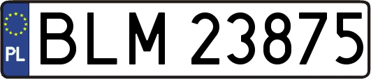 BLM23875