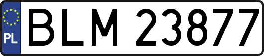 BLM23877