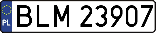 BLM23907