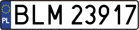 BLM23917