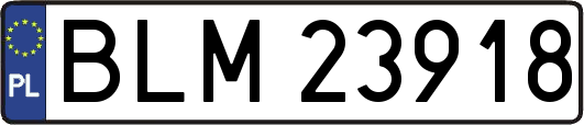 BLM23918