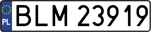 BLM23919