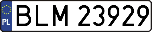 BLM23929