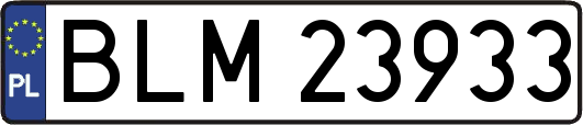 BLM23933