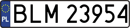 BLM23954