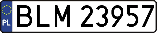 BLM23957