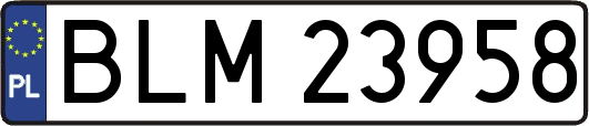 BLM23958
