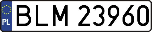 BLM23960