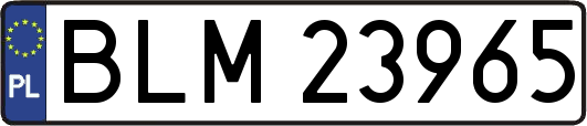 BLM23965
