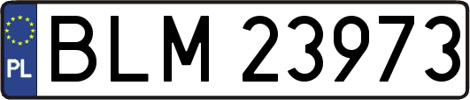 BLM23973