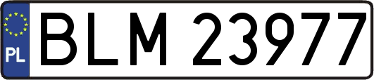 BLM23977
