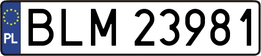 BLM23981