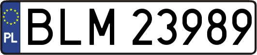 BLM23989
