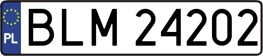 BLM24202