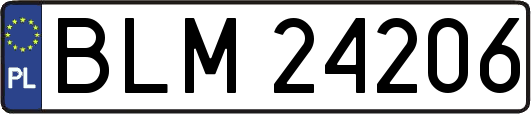 BLM24206