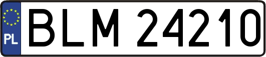 BLM24210