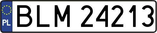 BLM24213