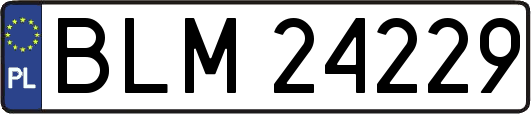 BLM24229
