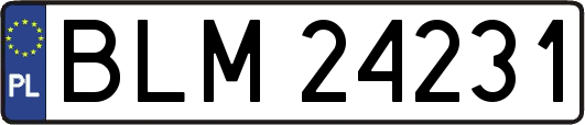 BLM24231