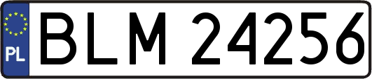 BLM24256