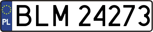BLM24273