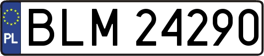 BLM24290