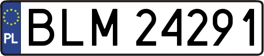 BLM24291