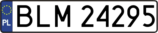 BLM24295