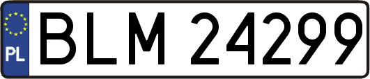 BLM24299