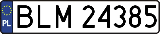 BLM24385