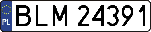 BLM24391